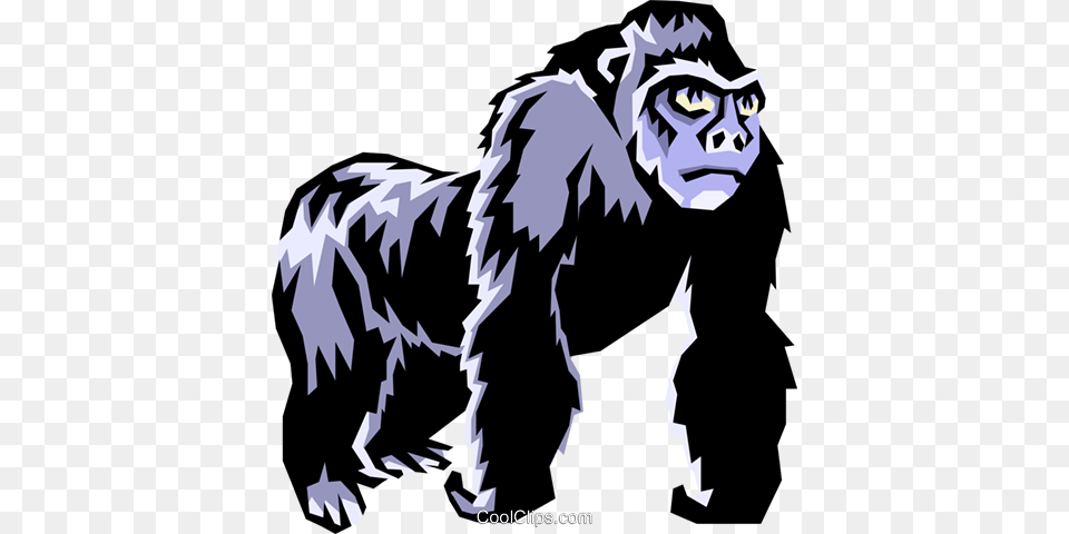 Gorillas Royalty Free Vector Clip Art Illustration, Wildlife, Animal, Ape, Mammal Png Image