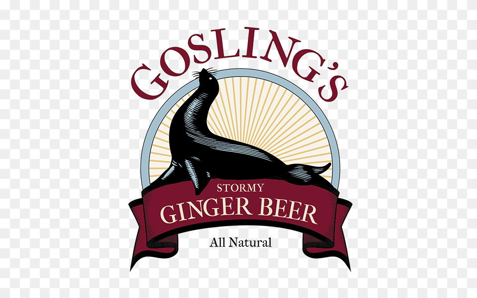 Goslings Stormy Ginger Beer On Behance, Adult, Person, Woman, Female Free Transparent Png