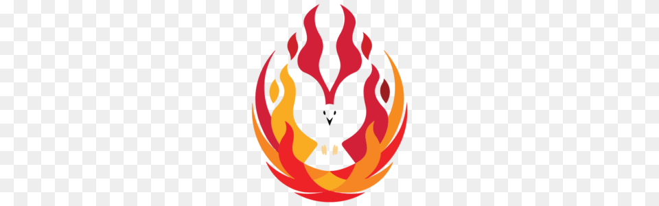 Gospel Reflection For Pentecost Sunday May Missionaries Png