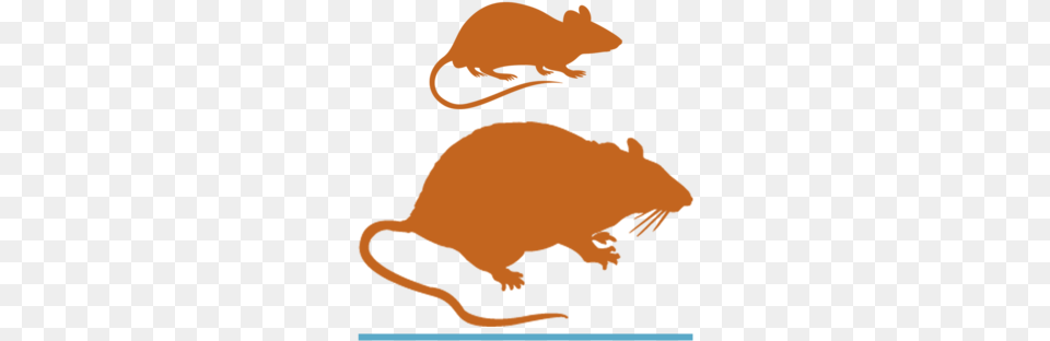 Got Rat Ipad Sleeve, Animal, Mammal, Baby, Person Free Transparent Png