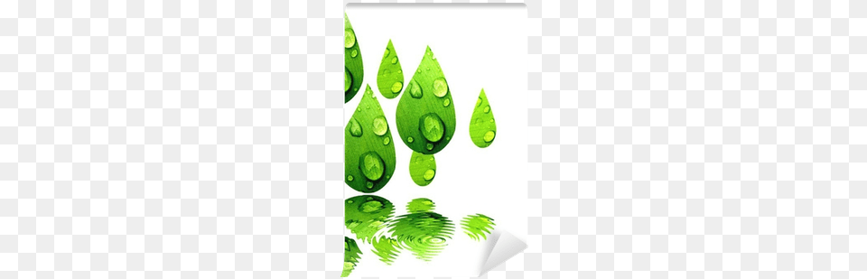 Gotas De Hojas Verdes Reflejadas En El Agua Wall Mural Illustration, Green, Leaf, Plant, Droplet Png Image
