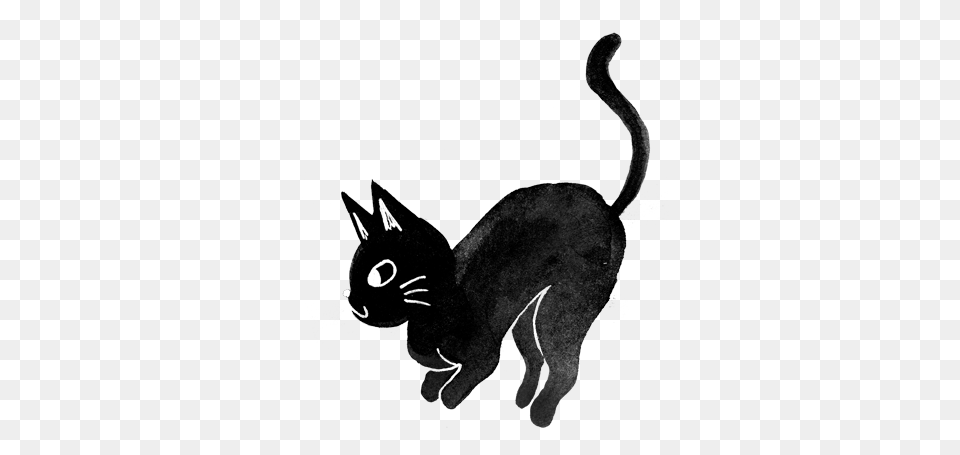 Goth Cats Black Cat, Animal, Mammal, Pet, Black Cat Free Png Download
