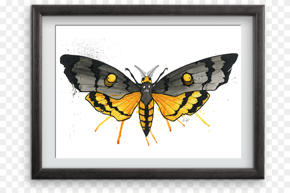 Goth Moth Art Print Picture Frame, Animal, Insect, Invertebrate, Butterfly Png