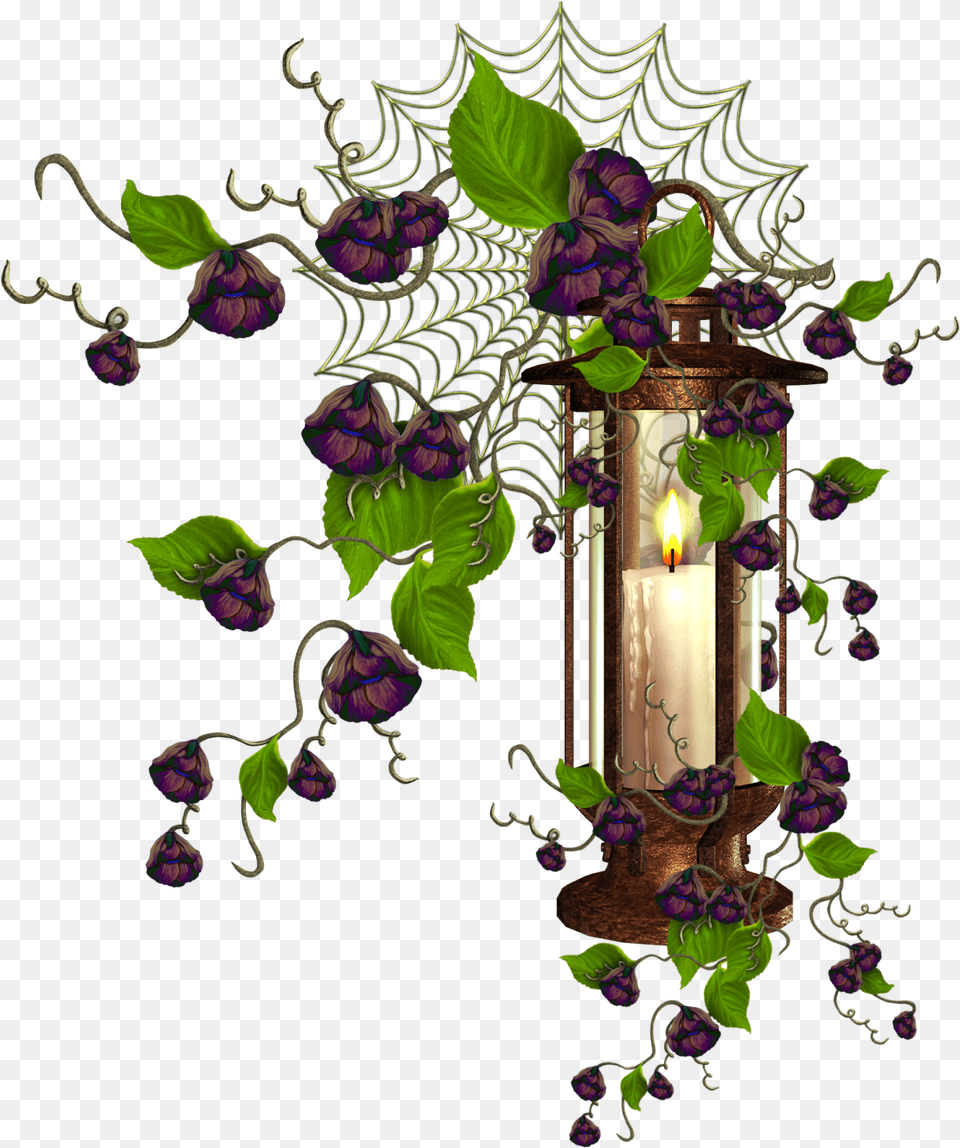 Gothic Borders Viola, Lamp, Plant, Candle, Flower Png