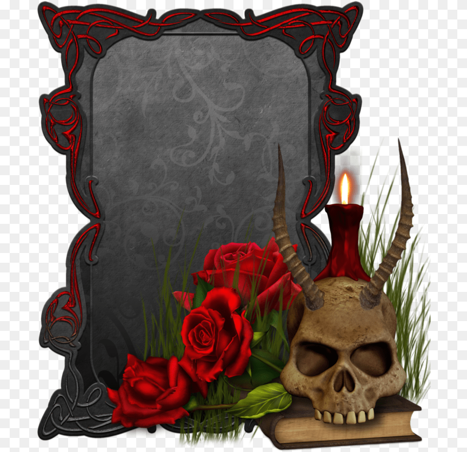 Gothic Fashion Drag 3d Gothic Skulls, Flower, Flower Arrangement, Plant, Rose Free Png
