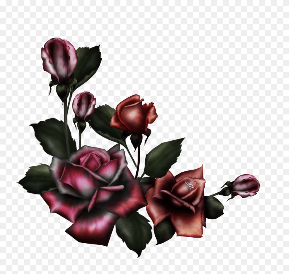 Gothic Flower, Flower Arrangement, Plant, Rose, Flower Bouquet Free Png Download