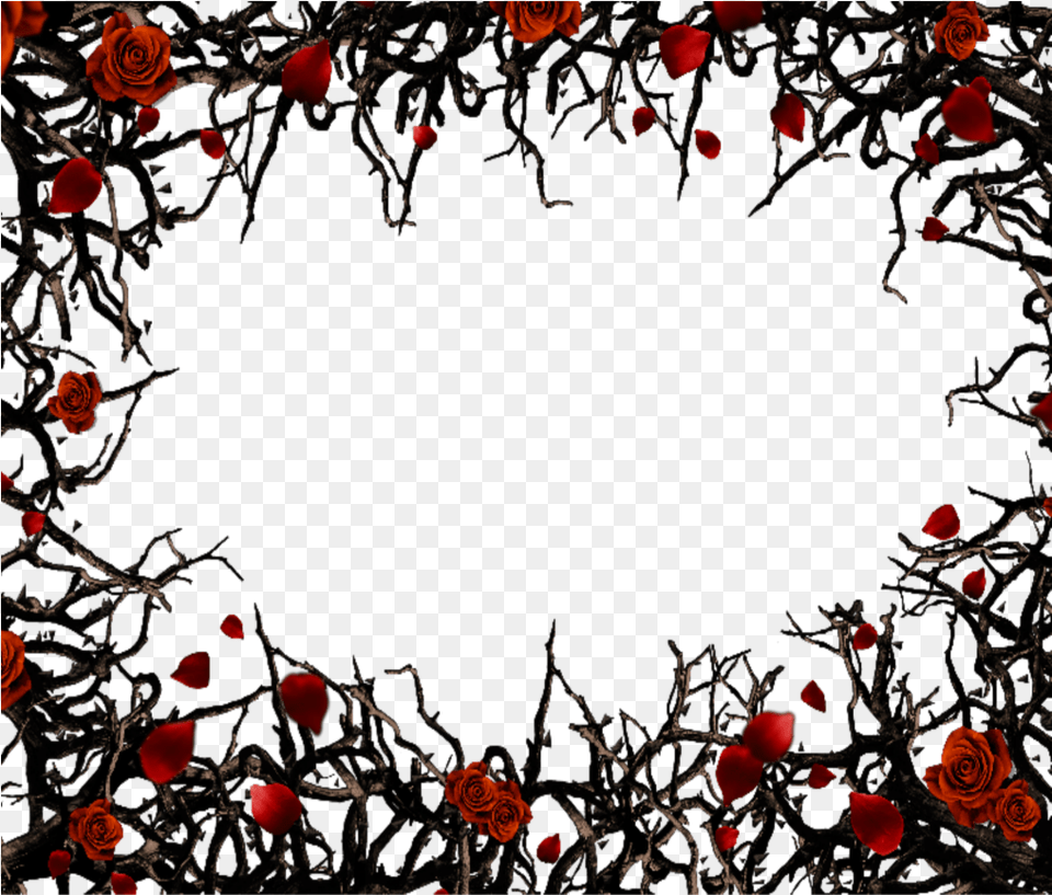 Gothic Frame, Flower, Petal, Plant, Rose Png