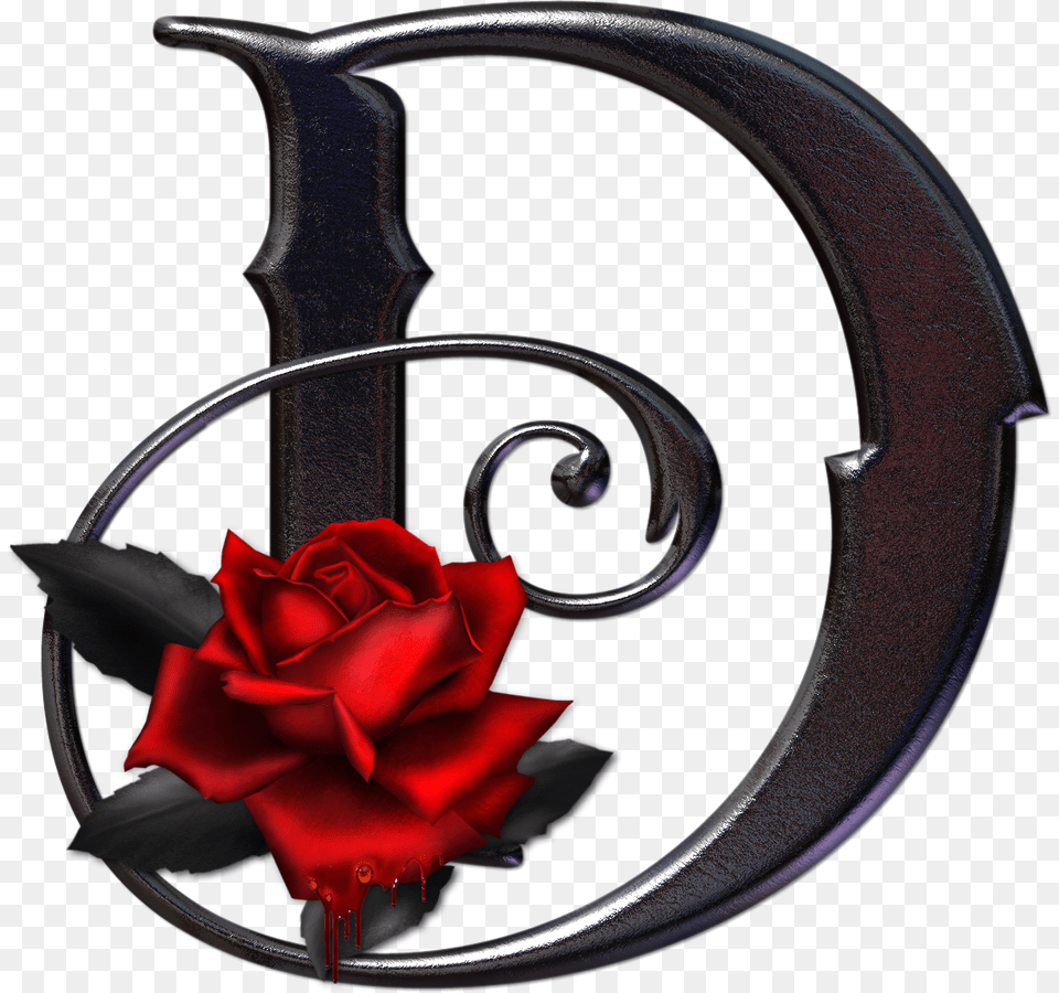 Gothic Letter D, Flower, Plant, Rose Free Png