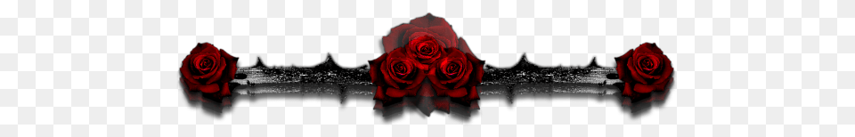 Gothic Rose Clipart, Flower, Plant, Petal Png