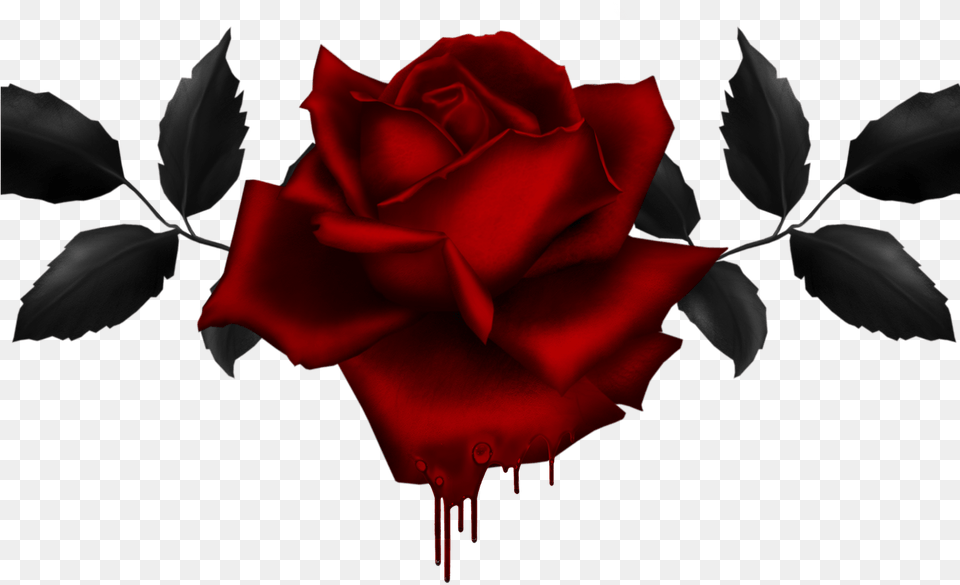 Gothic Rose Drawing At Getdrawingscom For Personal Gothic Rose, Flower, Plant Free Png