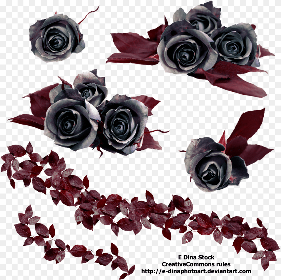 Gothic Rose Free Download Black Roses, Art, Plant, Flower, Flower Arrangement Png Image