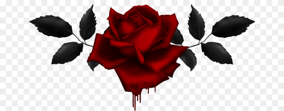 Gothic Rose Image Gothic Rose, Flower, Plant Free Png Download