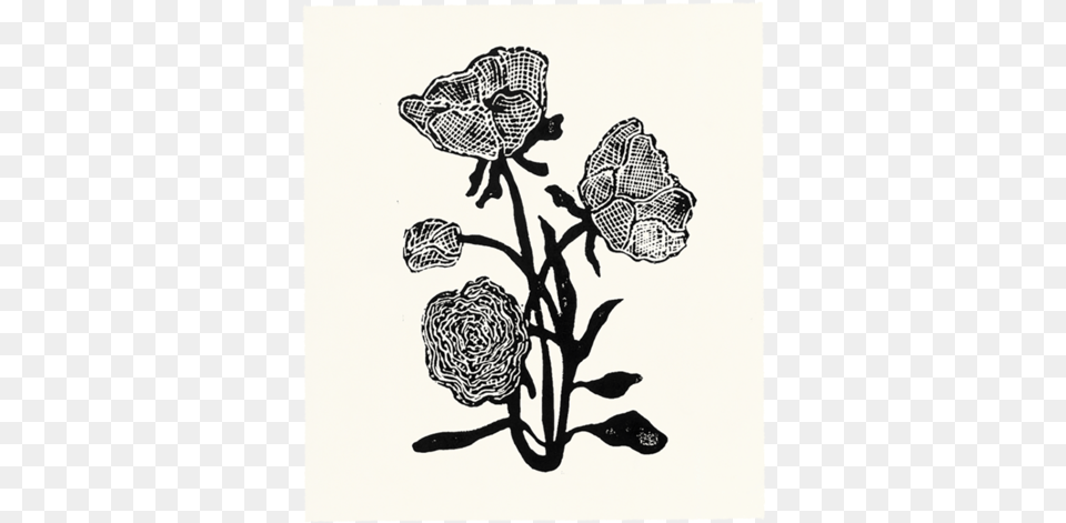 Gothic Rose Linocut, Art, Drawing, Doodle, Baby Free Png