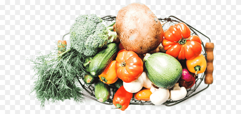Gourd, Food, Produce, Plant, Squash Free Png Download