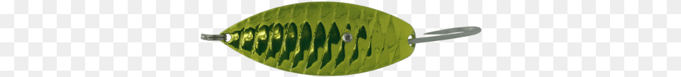 Gourd, Leaf, Plant Free Png Download