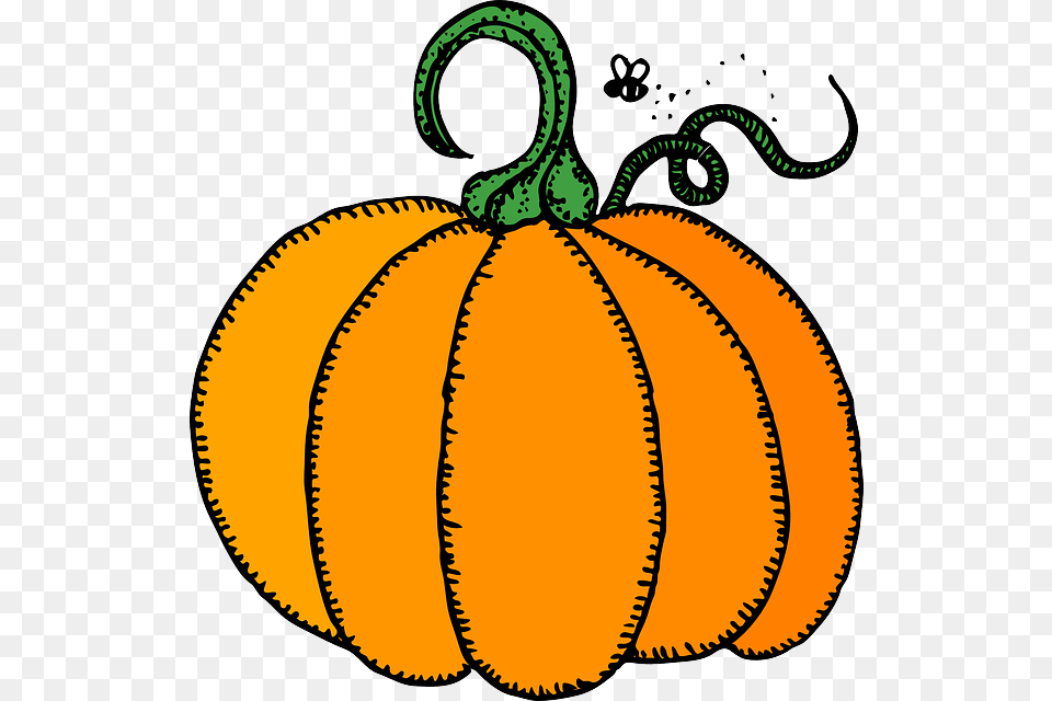 Gourd Clipart November, Food, Plant, Produce, Pumpkin Png Image