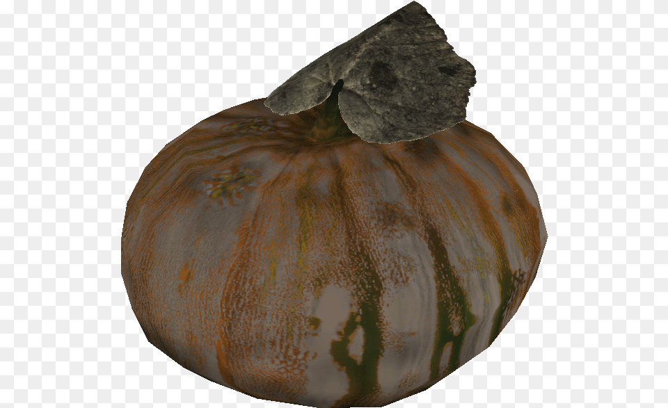 Gourd Gourd Fallout, Food, Plant, Produce, Pumpkin Png