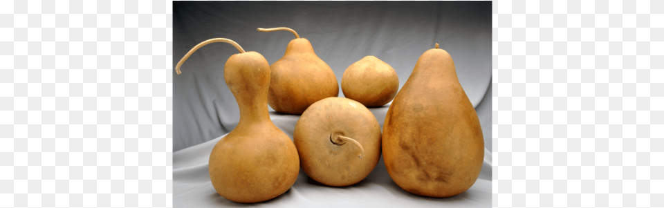 Gourd Of Family, Food, Plant, Produce, Vegetable Free Transparent Png