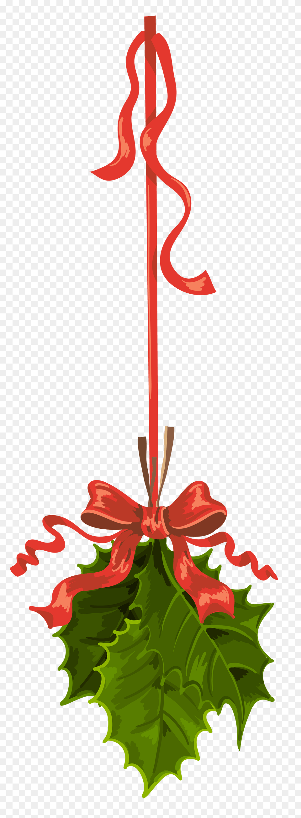 Gourds Christmas Christmas, Flower, Leaf, Plant, Rose Png