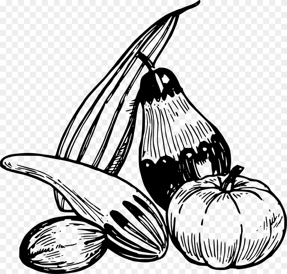 Gourds Clip Art Vegetables, Gray Png