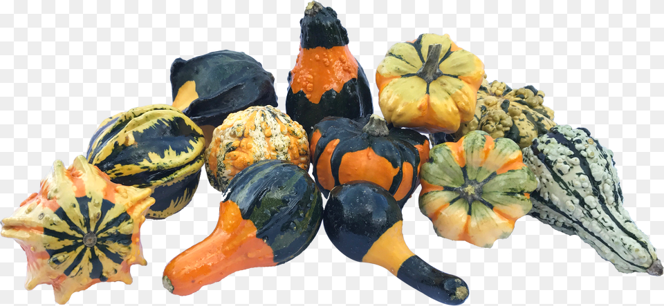 Gourds Gourds Free Png