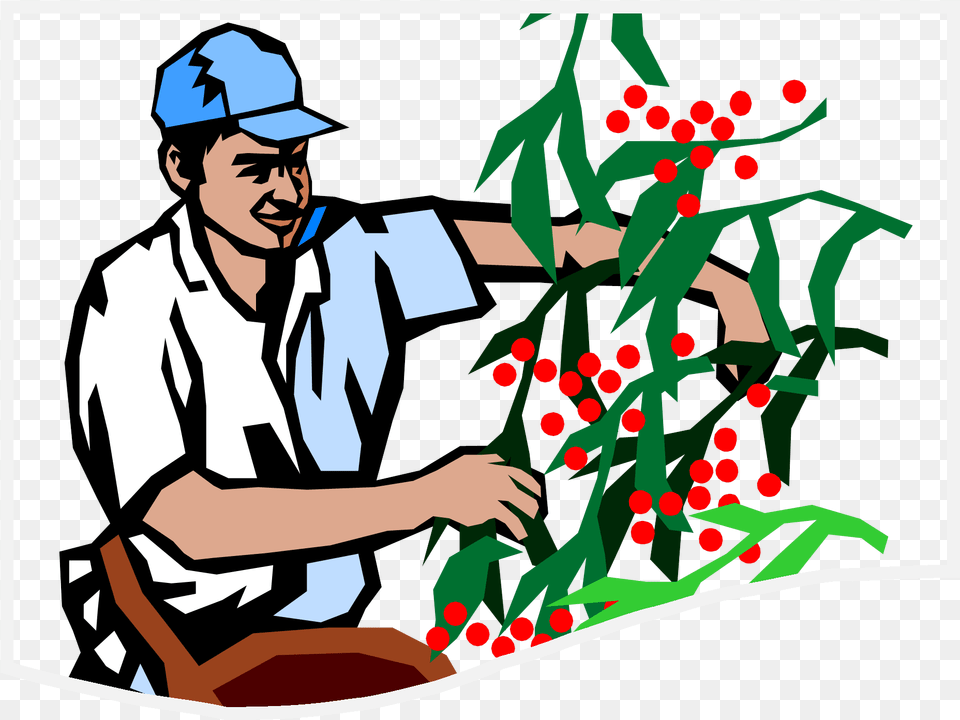 Government Clipart Government Worker Farm Labor Contractor Cartoon, Outdoors, Nature, Garden, Adult Free Transparent Png