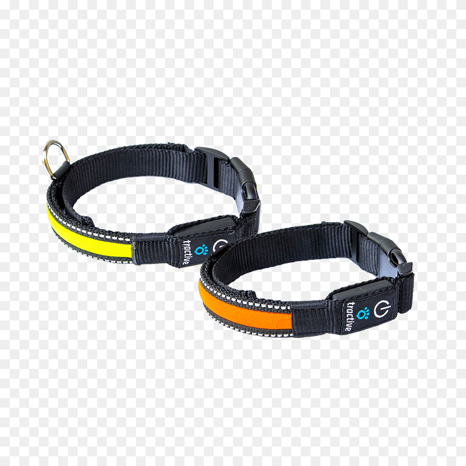Gps Tracker For Your Dog, Accessories, Strap, Leash, Collar Png