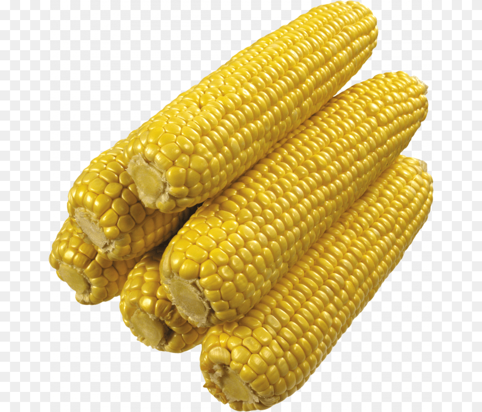 Grab And Download Corn Image Corn On The Cob No Background, Animal, Food, Grain, Plant Free Transparent Png