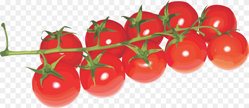 Grab And Download Tomato Icon Cherry Tomatoes Transparent Background, Food, Plant, Produce, Vegetable Png