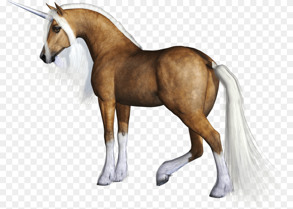 Grab And Download Unicorn Clipart Mane, Animal, Horse, Mammal, Colt Horse Png Image