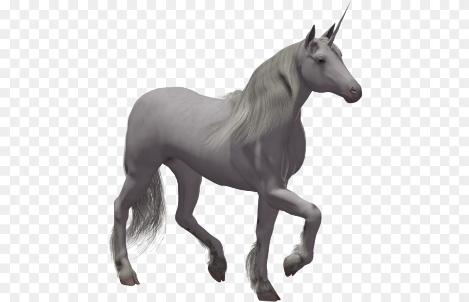 Grab And Unicorn Transparent File Real Unicorn With No Background, Andalusian Horse, Animal, Horse, Mammal Free Png