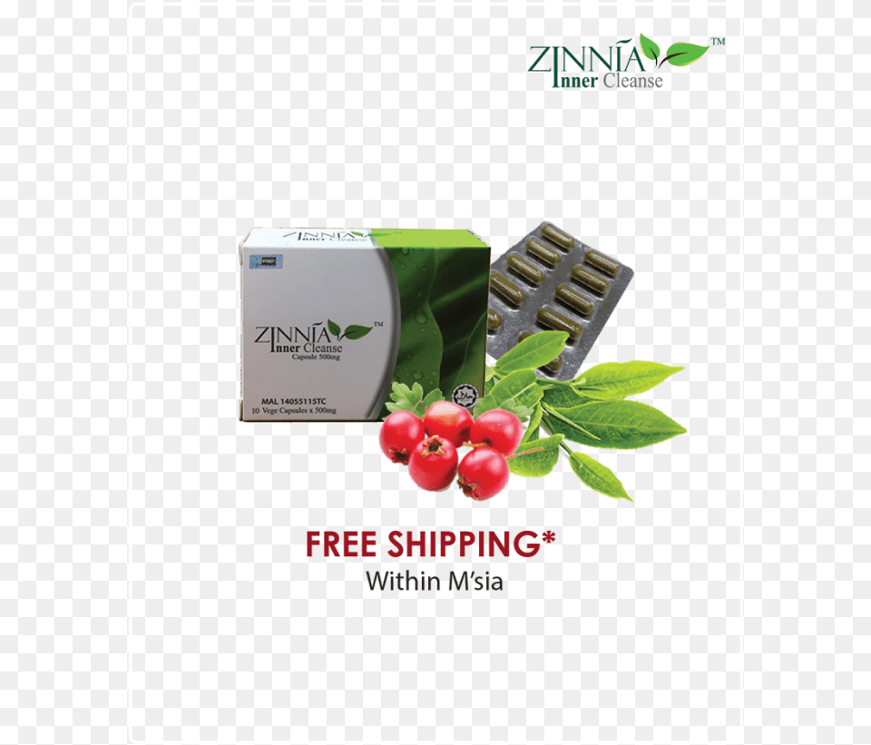 Grab Now With Special Price Amp Enjoy Shipping Within Lingonberry, Herbal, Herbs, Plant, Leaf Free Png Download
