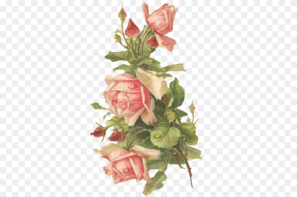 Grab Them All For Summer Rose Crafting Rose With Transparent Background, Art, Plant, Painting, Flower Free Png