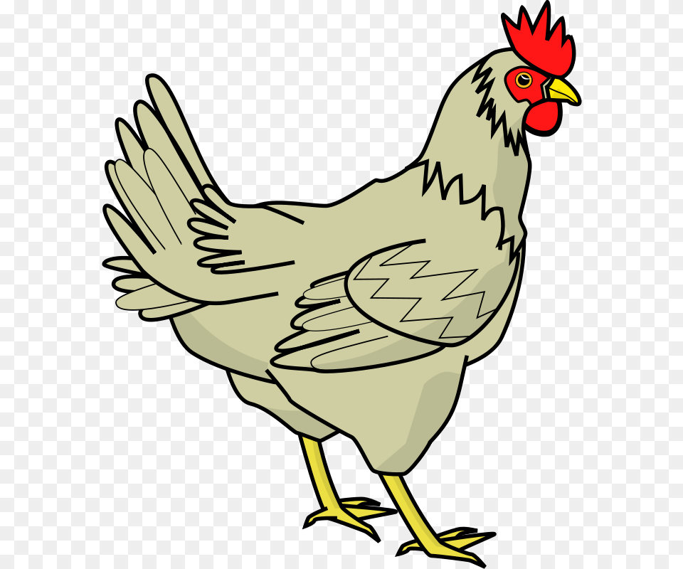 Grabbing Chicken Clipart Clip Art, Animal, Bird, Fowl, Hen Free Png