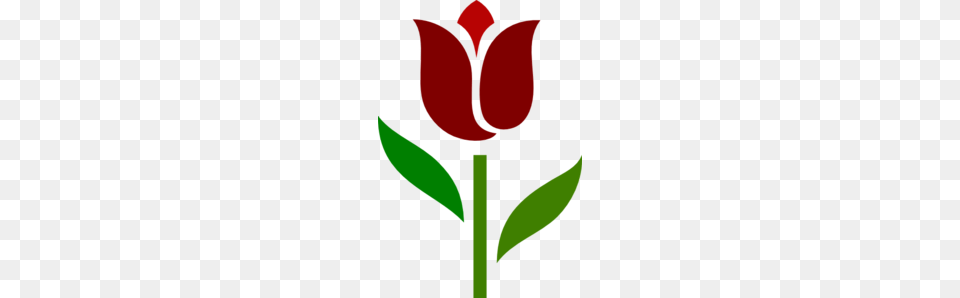 Grace Tulip Clip Art, Flower, Plant, Rose, Leaf Png