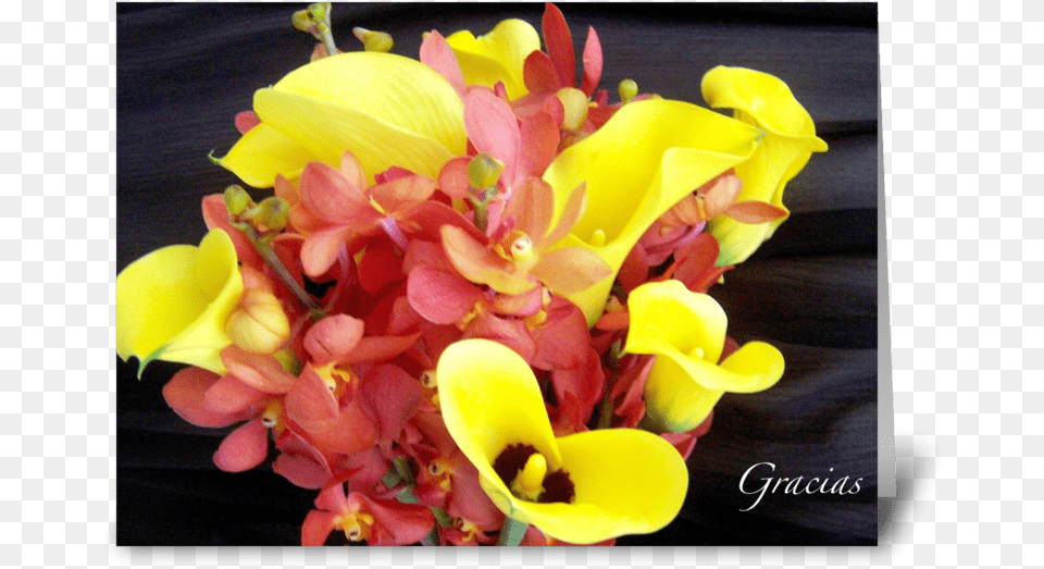 Graciasthank You Greeting Card Bouquet, Flower, Flower Arrangement, Flower Bouquet, Petal Free Transparent Png