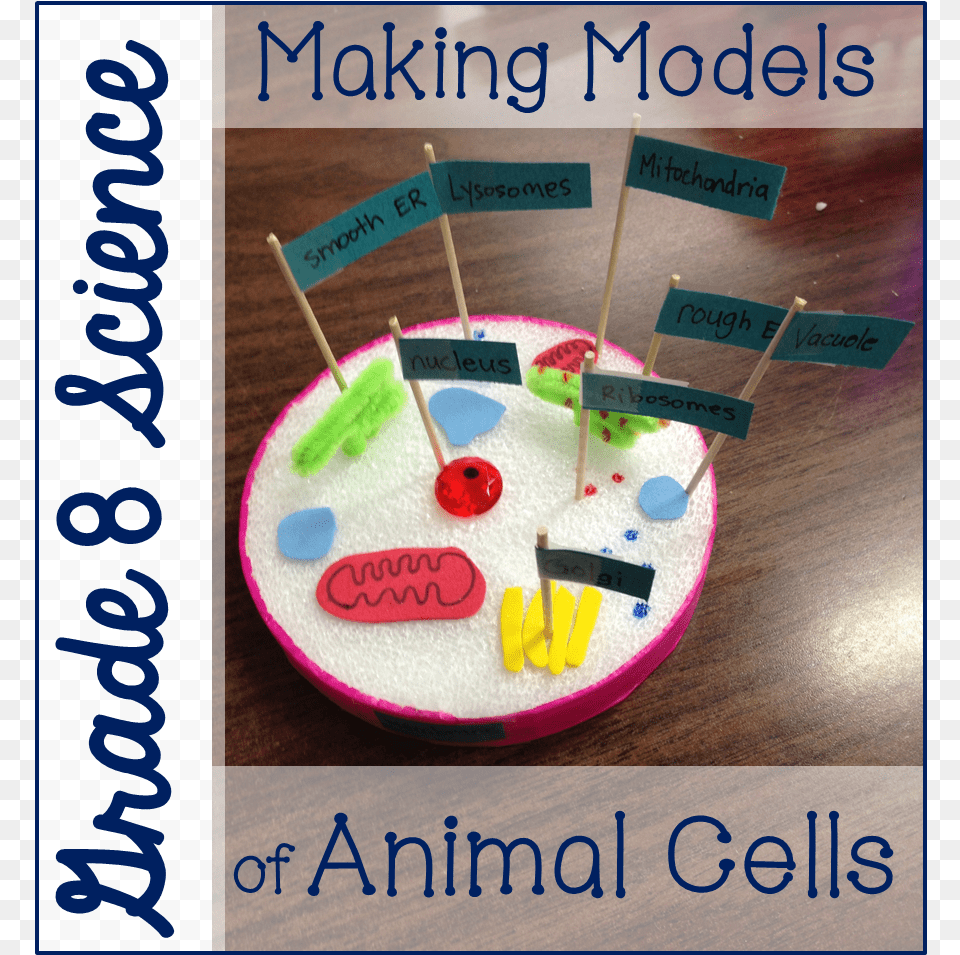 Grade 8 Animal Cell Models Animal Cell Project, Birthday Cake, Cake, Cream, Dessert Png Image