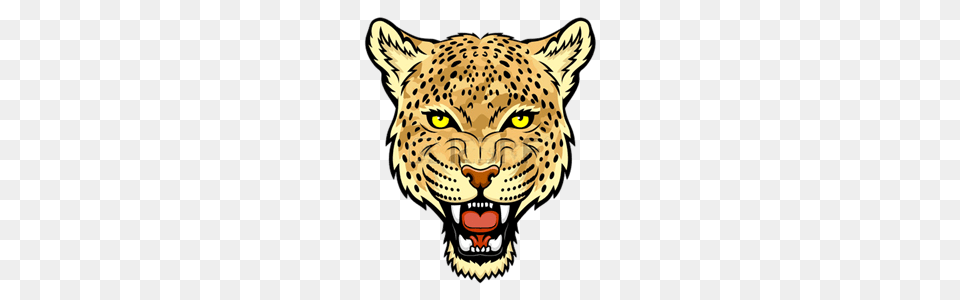 Grade Leopards, Animal, Cheetah, Mammal, Wildlife Png Image