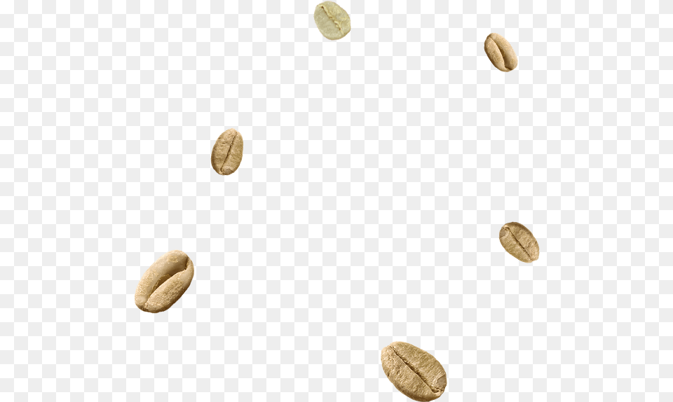 Grading Amp Sorting Coin, Beverage, Coffee Free Png Download