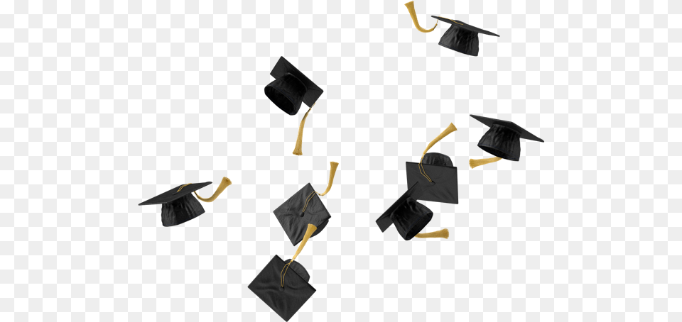 Graduaciones, Graduation, People, Person Png