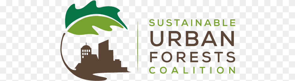 Graduate And Sustainable Urban Forests Coalition, Leaf, Plant, Vegetation, Green Png