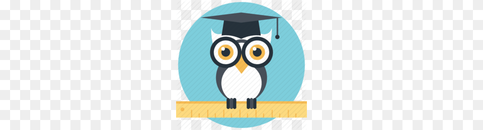 Graduate Owl Clipart Owl Clip Art Owl Illustration, Graduation, People, Person Free Png Download