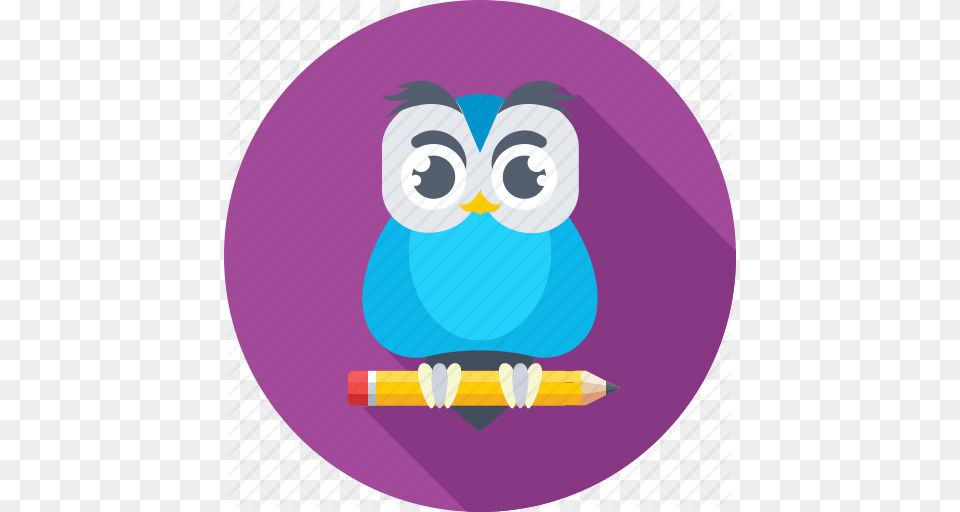 Graduate Owl Graduation Owl Degree Owl Sage Wisdom Icon, Purple, Art, Disk Free Png