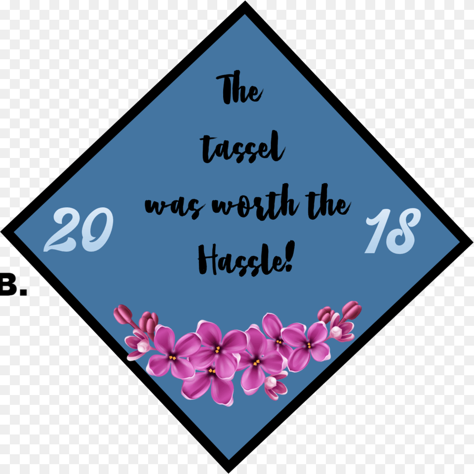 Graduation Cap Topper Ballyvaughan, Flower, Petal, Plant, Disk Free Png