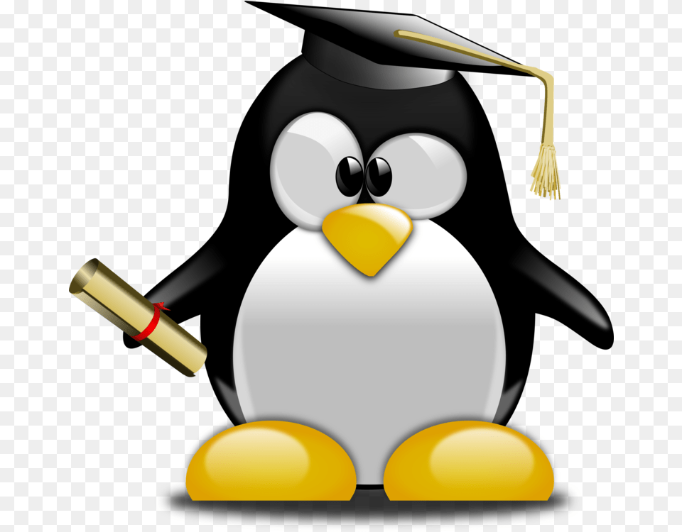 Graduation Ceremony Tuxedo Graduate University Penguin School Free, People, Person, Snowman, Snow Png Image