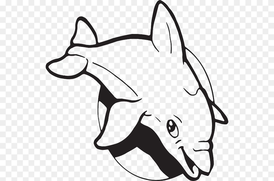 Graduation Clipart Dolphin, Animal, Mammal, Sea Life, Kangaroo Png