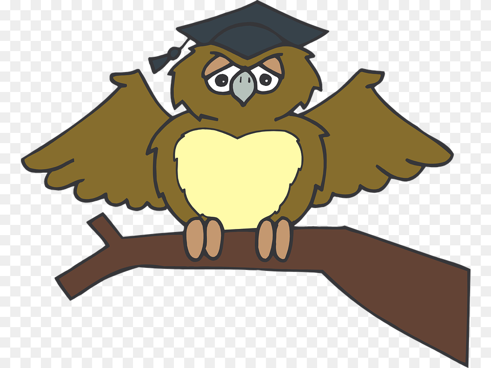 Graduation Clipart Tree, Baby, Person, Animal, Face Png Image