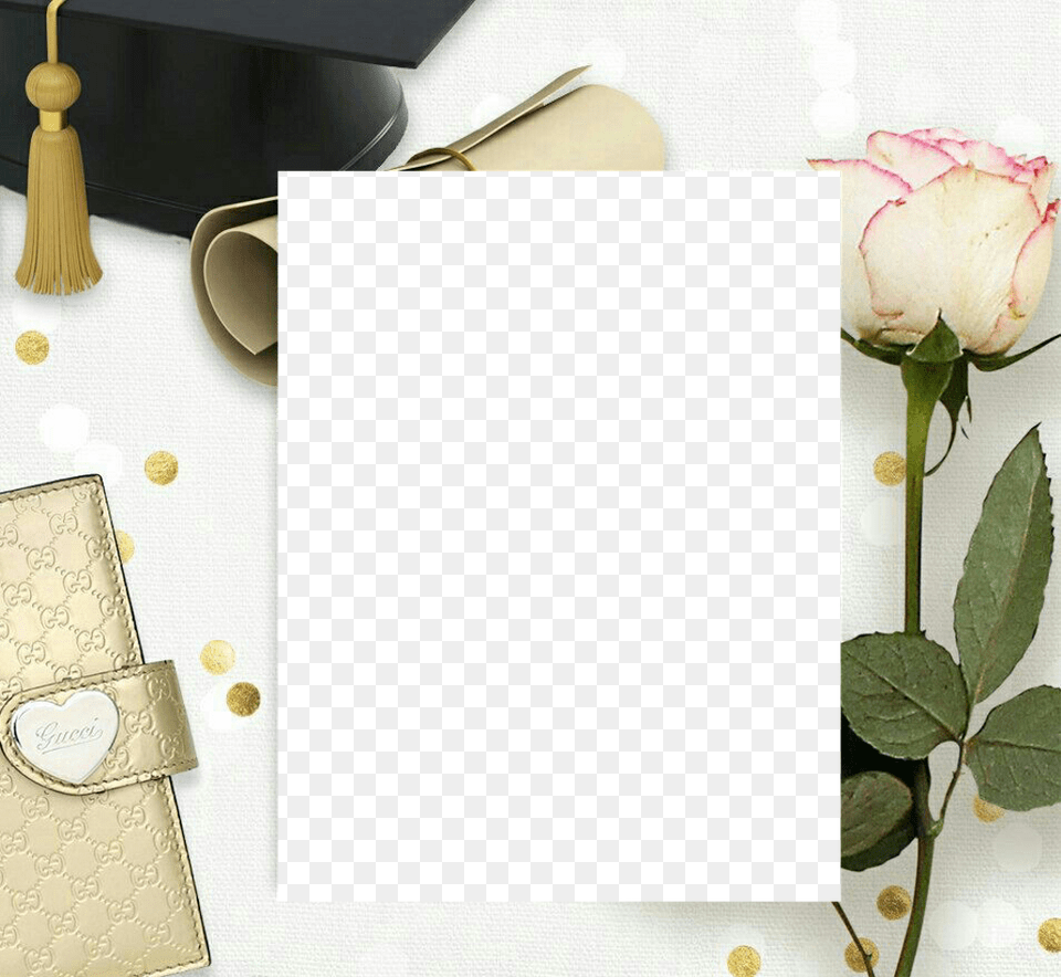 Graduation Frame Pictureframe Graduationhat Grad Gradua Graduation Ceremony, Flower, Plant, Rose, Envelope Png Image