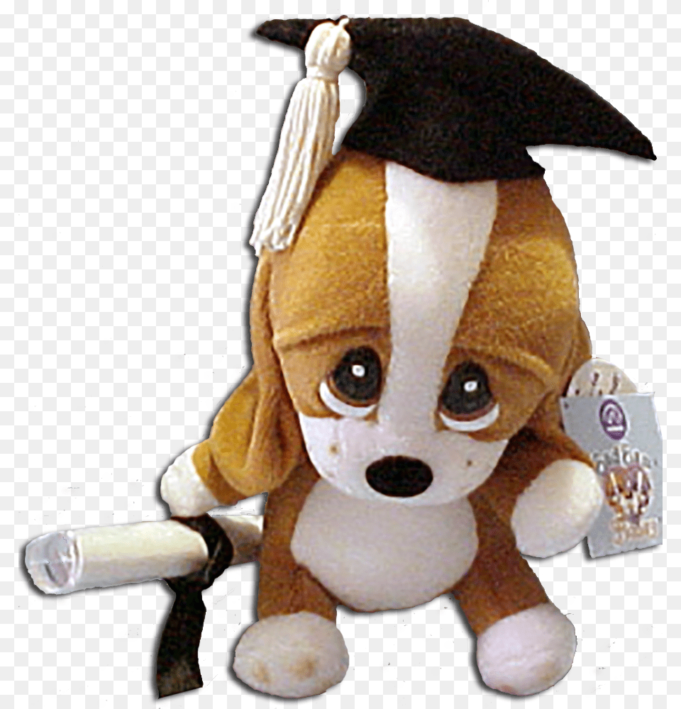 Graduation Plush Sad Sam With Personable Diploma Basset Sad Sam, People, Person, Toy, Face Free Transparent Png