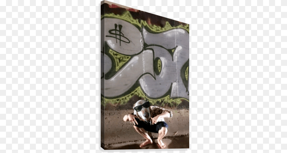 Graffiti Dawg Print Boston Terrier, Art, Painting, Barefoot, Person Png